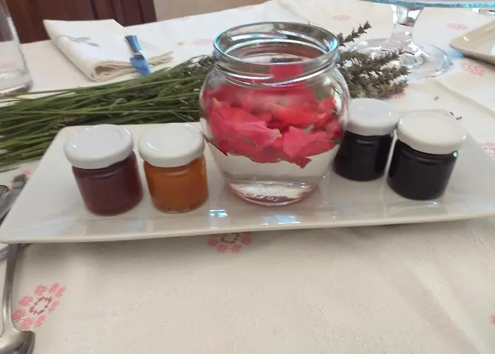 Domus Ansantica Alloggio per agriturismo